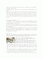 호텔매너의 정의 및 호텔서비스의 종류와 에티켓 조사분석  9페이지
