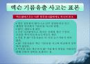 엑슨사의 기름유출 위기 커뮤니케이션 12페이지
