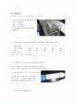 [생화학]희석된 sample을 이용한 Vmax 값 구하는 보고서. 4페이지