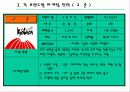 치킨산업 마케팅조사 14페이지