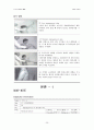 [상해및재활] 충돌 증후군의 실제 사례를 통한 상해와 재활 4페이지