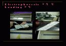 수질로부터 얻은 바이러스를 이용한 transfomation 실험 발표 보고서. 9페이지