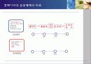 [무역][운송]컨테이너 운송에 대해서 12페이지