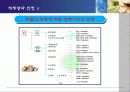 [무역][운송]컨테이너 운송에 대해서 24페이지