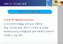 [무역][운송]컨테이너 운송에 대해서 26페이지