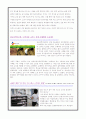 식중독 사례 - cj푸드시스템 9페이지
