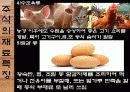 한국의 민속문화 생활문화 -주식과 간식-  4페이지