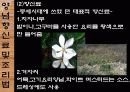 한국의 민속문화 생활문화 -주식과 간식-  21페이지
