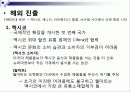 월마트사례집(브라질에서의도전)ppt 7페이지