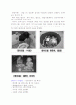 24~36개월 영아 발달 과정 - 인지영역 2페이지