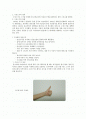 수상스키에 대하여 1페이지
