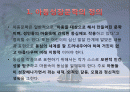 아동문학과 어스시의 마법사wizard of earthsae 판타지 2페이지