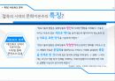 접속의 시대 문화자본주의 특징과 문제점 16페이지