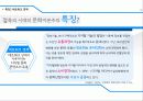 접속의 시대 문화자본주의 특징과 문제점 17페이지