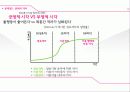 접속의 시대 문화자본주의 특징과 문제점 24페이지