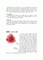 '마약' 에 관하여 10페이지