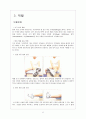 운동선수 상해 및 재활 case study 6페이지