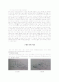 발목의 인대,건 상해 및 재활 2페이지