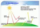 온난화에 대한 PPT자료입니다. 7페이지