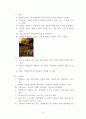 창업 기획서 5페이지