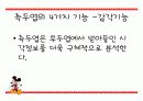 측두엽의 기능과 측두엽 손상에 따른 문제점 4페이지