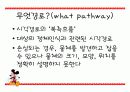측두엽의 기능과 측두엽 손상에 따른 문제점 6페이지