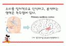 측두엽의 기능과 측두엽 손상에 따른 문제점 8페이지