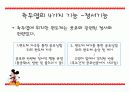 측두엽의 기능과 측두엽 손상에 따른 문제점 11페이지