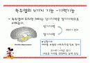측두엽의 기능과 측두엽 손상에 따른 문제점 12페이지