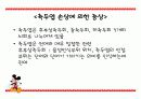 측두엽의 기능과 측두엽 손상에 따른 문제점 15페이지