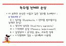 측두엽의 기능과 측두엽 손상에 따른 문제점 16페이지