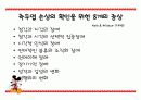 측두엽의 기능과 측두엽 손상에 따른 문제점 17페이지