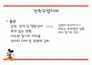 측두엽의 기능과 측두엽 손상에 따른 문제점 18페이지