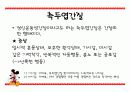 측두엽의 기능과 측두엽 손상에 따른 문제점 20페이지