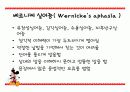 측두엽의 기능과 측두엽 손상에 따른 문제점 22페이지