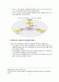 경쟁우위의 새로운 방향 : SCM (국내외사례포함) 13페이지