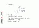 조적공사에 대하여 23페이지