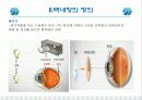 백내장ppt  노화와 건강 5페이지