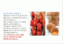 백내장ppt  노화와 건강 29페이지
