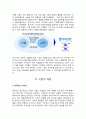 우리성을 이용한 마케팅이 고객만족에 미치는 영향 - 우리은행사례를 중심으로 3페이지