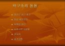 [건축,토목환경공학]막구조의 원리와 특성 및 사례 6페이지