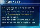 [독일]독일 스포츠의 소개(분데스리가 축구, 핸드볼 F1자동차 경주)와 나의 생각 17페이지