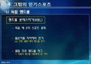 [독일]독일 스포츠의 소개(분데스리가 축구, 핸드볼 F1자동차 경주)와 나의 생각 20페이지