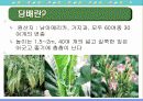 담배와 흡연 5페이지