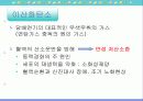 담배와 흡연 14페이지