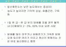 담배와 흡연 15페이지