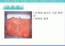 담배와 흡연 69페이지