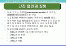 담배와 흡연 85페이지