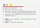 (건축) 철근 종류 및 배근, 정착 8페이지