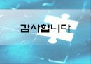혁신과 변화 P&G 사례 51페이지